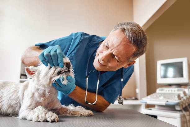 Professional Emergency Dentist in AL